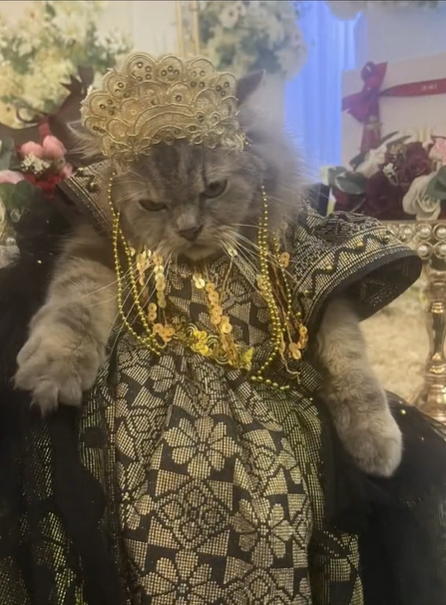 เพื่อนเจ้าสาวหน้าแปลก