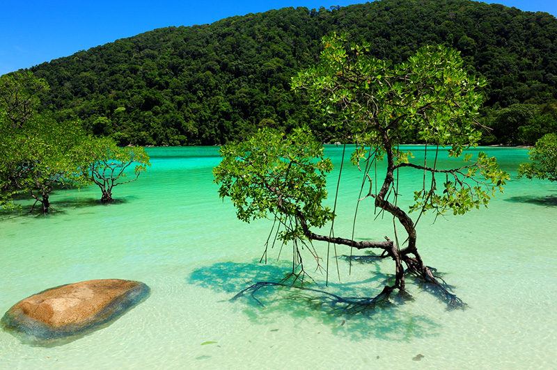 อุทยานแห่งชาติหมู่เกาะสุรินทร์