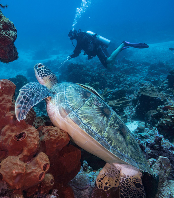 ที่เที่ยวอินโดนีเซีย