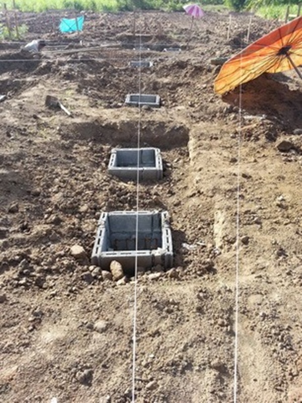 บ้านชั้นเดียวหลังเล็กกลางไร่ 