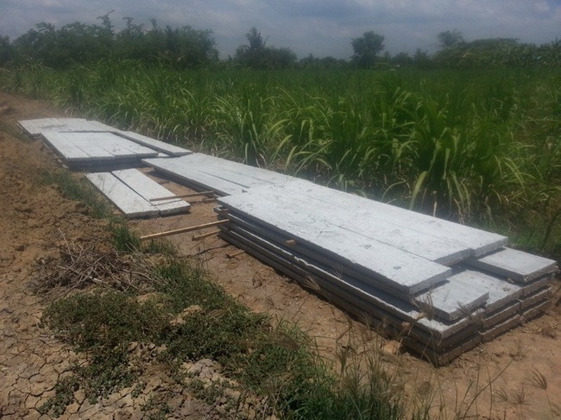 บ้านชั้นเดียวหลังเล็กกลางไร่ 