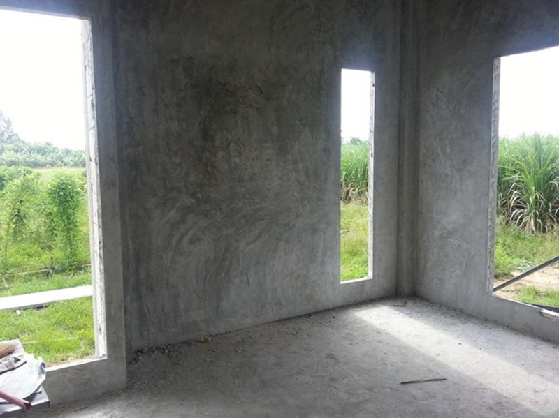 บ้านชั้นเดียวหลังเล็กกลางไร่ 