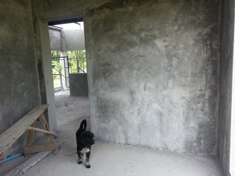 บ้านชั้นเดียวหลังเล็กกลางไร่ 