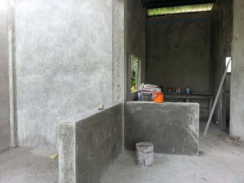 บ้านชั้นเดียวหลังเล็กกลางไร่ 