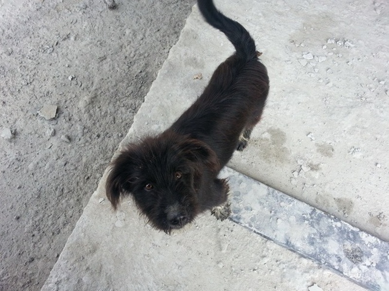 บ้านชั้นเดียวหลังเล็กกลางไร่ 