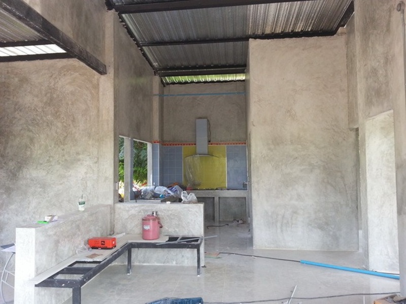 บ้านชั้นเดียวหลังเล็กกลางไร่ 