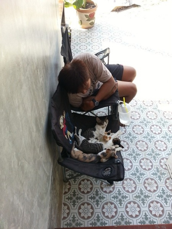 บ้านชั้นเดียวหลังเล็กกลางไร่ 