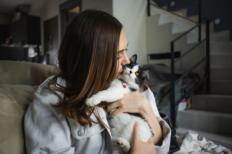 วันกอดแมว