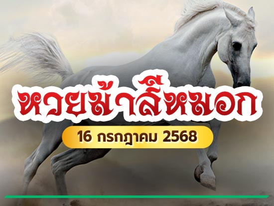 ม้าสีหมอก
