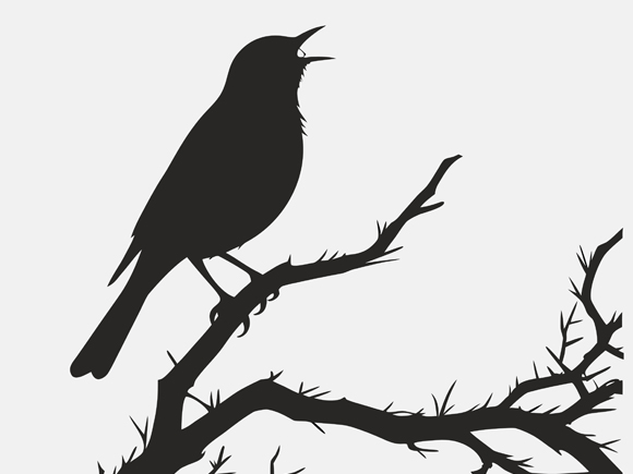 หวยนกตาทิพย์ เลขเด็ดงวดนี้ 1 ธ.ค. 68