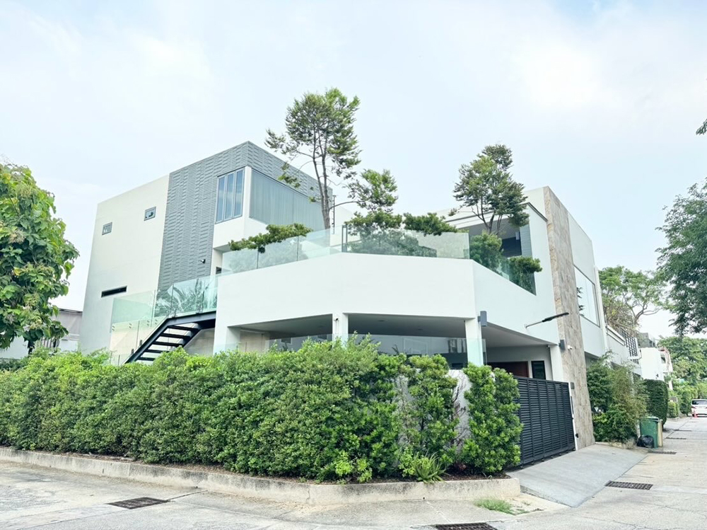 นานา ไรบีนา