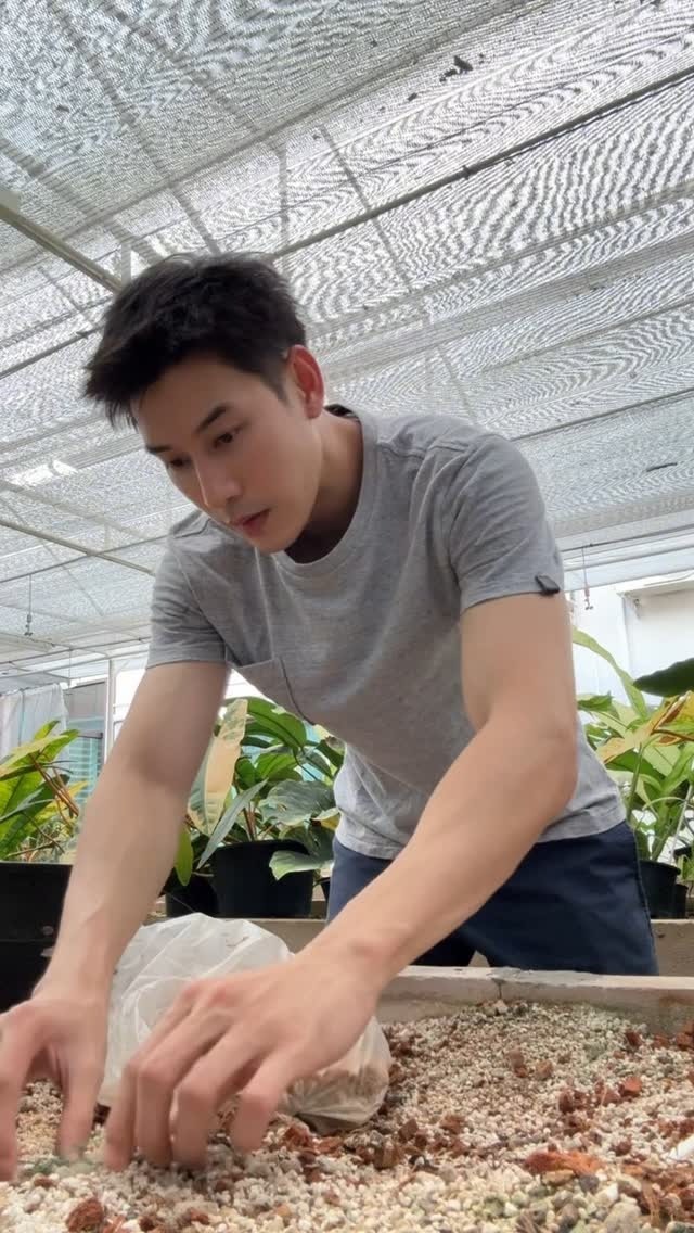 เคน ภูภูมิ สวนทุเรียน