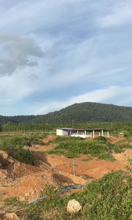 เคน ภูภูมิ สวนทุเรียน