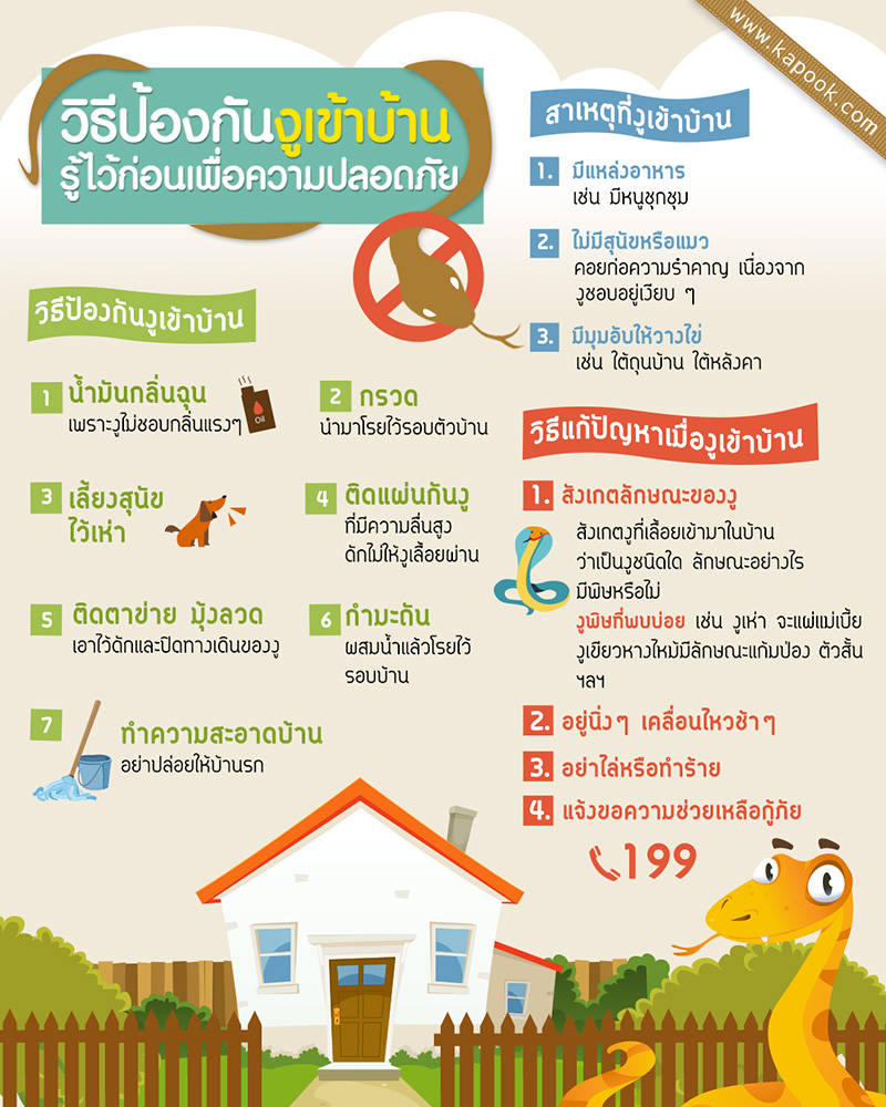 วิธีป้องกันงูเข้าบ้าน