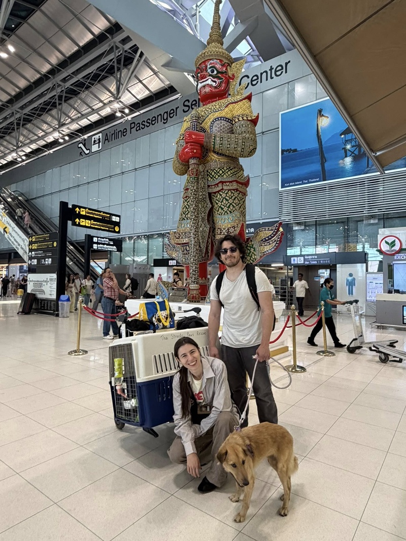 Markiplier รับหมาจรจากไทยไปเลี้ยง