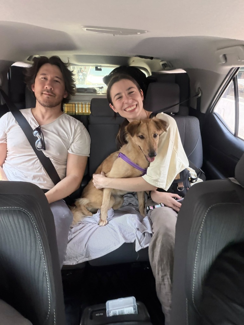 Markiplier รับหมาจรจากไทยไปเลี้ยง