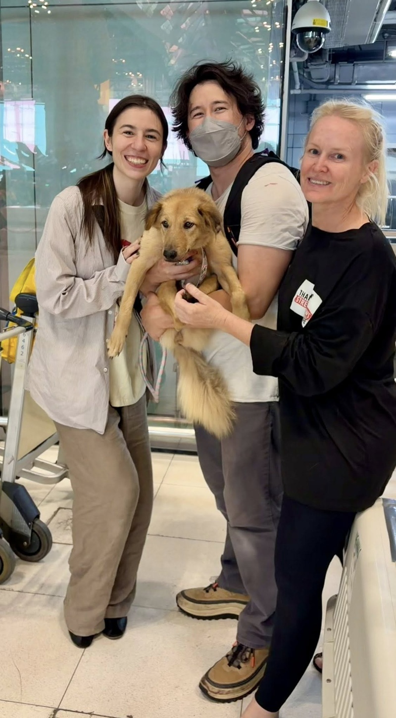 Markiplier รับหมาจรจากไทยไปเลี้ยง