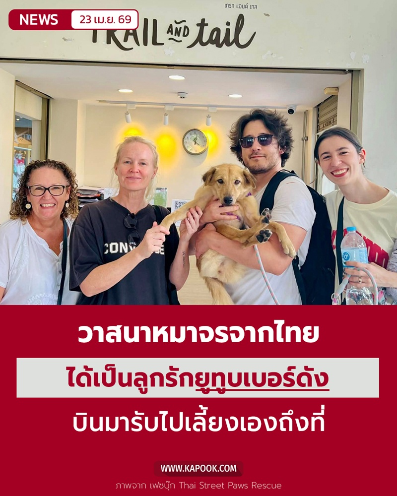Markiplier รับหมาจรจากไทยไปเลี้ยง