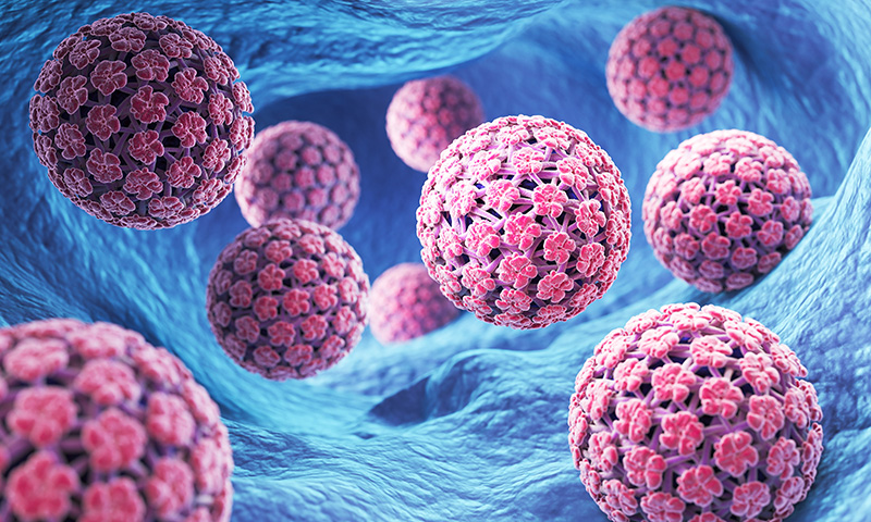 HPV HPV