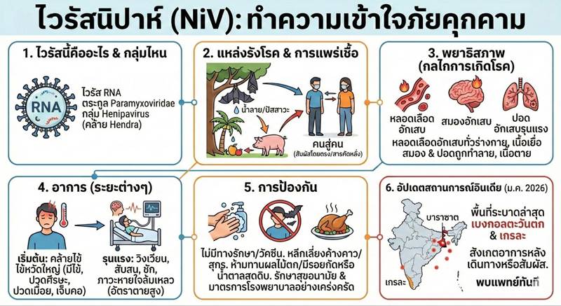 ไวรัสนิปาห์ คืออะไร