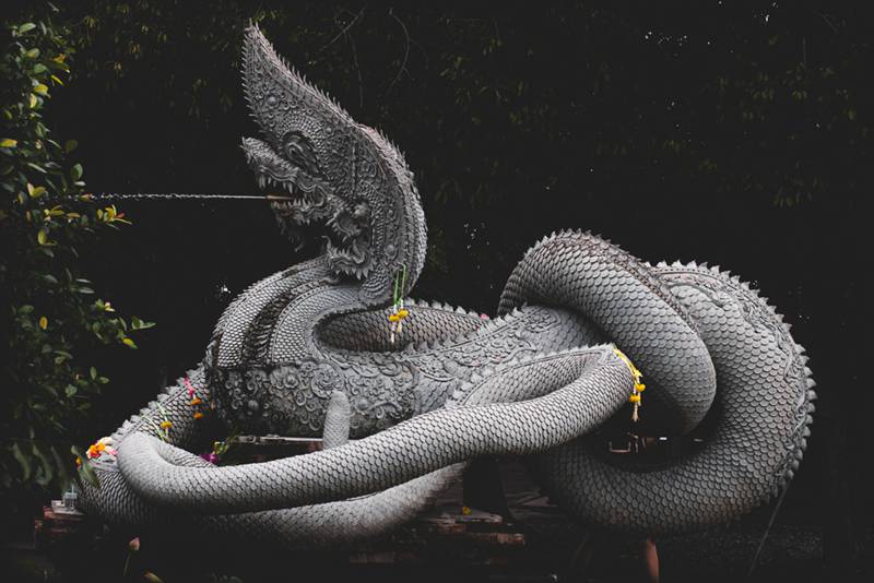 หวยพญานาคนิลกาฬ