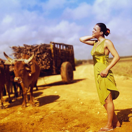 มิเชลล์ โรดริเกซ