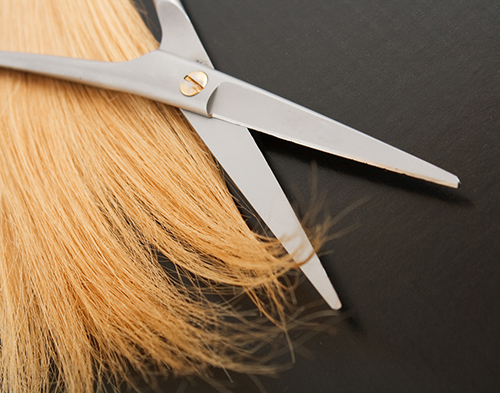 ผมยาวไว