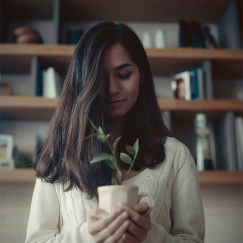 วี วิโอเลต วอเทียร์ 