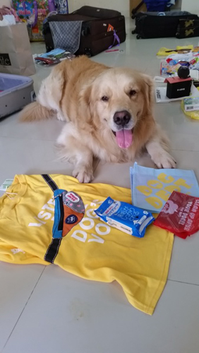 รีวิวเปิดถุงช้อปปิ้ง จากทริปโตเกียว-โอซาก้า