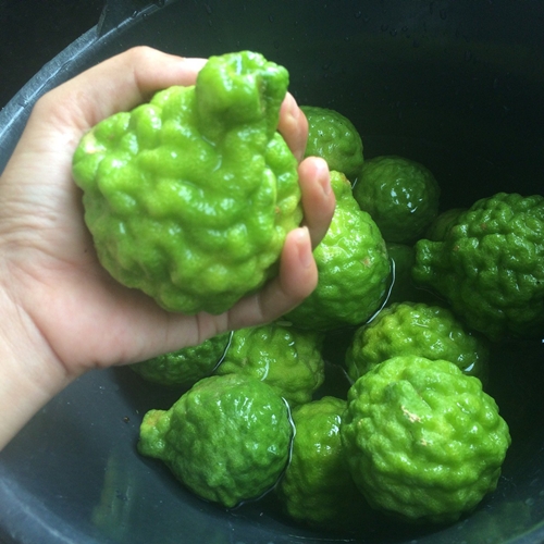 เคล็ดลับดูแลผม