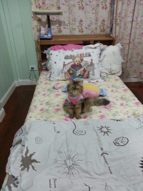 Renovate ห้องนอนเก่า ให้เป็นห้องหอแสนหวาน