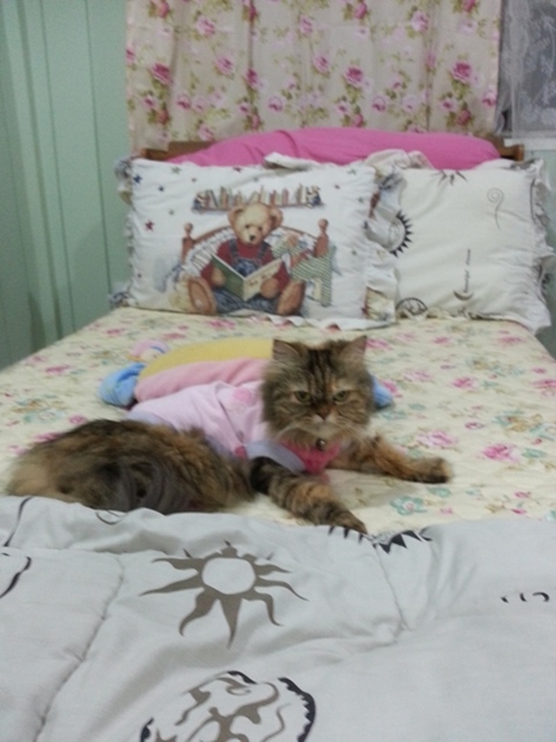 Renovate ห้องนอนเก่า ให้เป็นห้องหอแสนหวาน