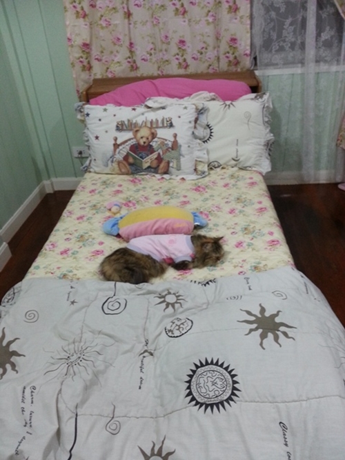 Renovate ห้องนอนเก่า ให้เป็นห้องหอแสนหวาน