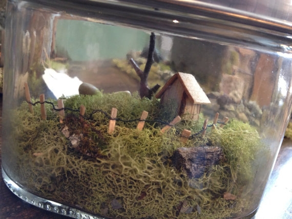 terrarium สวนขวดแก้ว