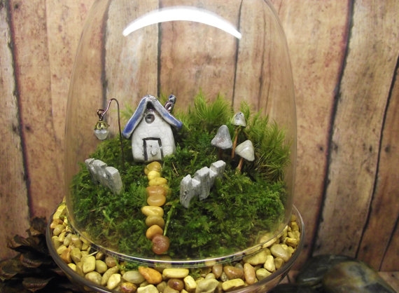 terrarium สวนขวดแก้ว