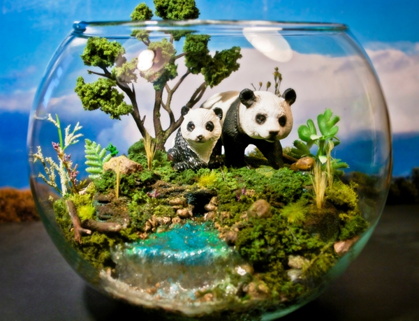 terrarium สวนขวดแก้ว
