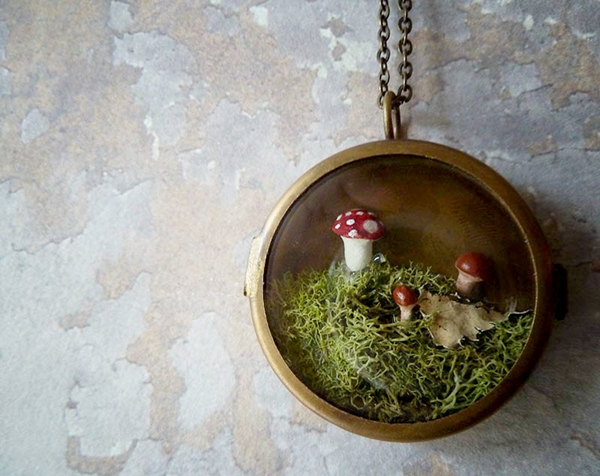 terrarium สวนขวดแก้ว