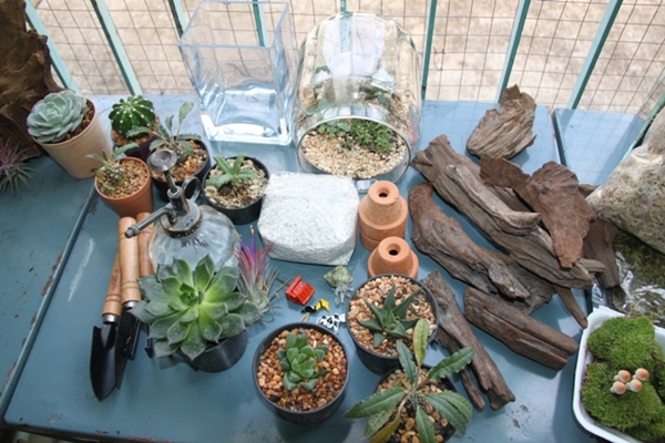 teraarium สวนขวดแก้ว