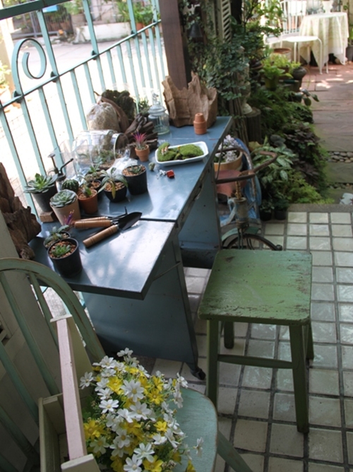 teraarium สวนขวดแก้ว