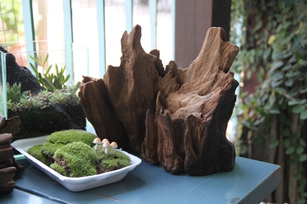 teraarium สวนขวดแก้ว