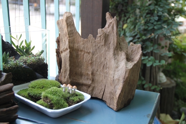 teraarium สวนขวดแก้ว