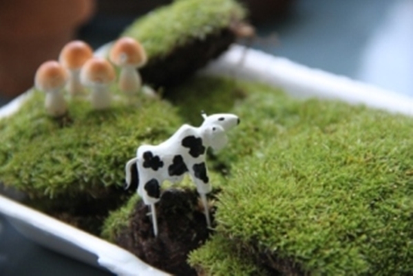 teraarium สวนขวดแก้ว