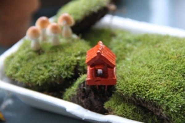 teraarium สวนขวดแก้ว