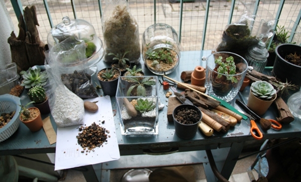 teraarium สวนขวดแก้ว