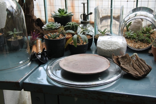 teraarium สวนขวดแก้ว