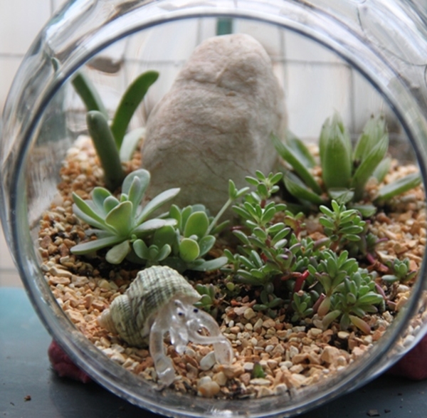 teraarium สวนขวดแก้ว