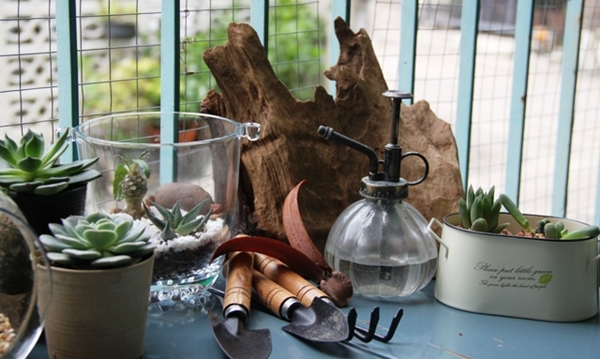 teraarium สวนขวดแก้ว