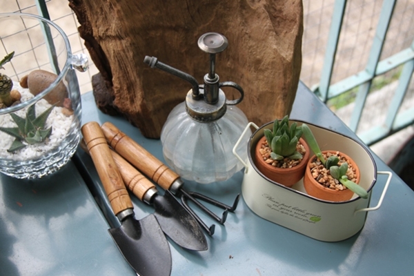 teraarium สวนขวดแก้ว