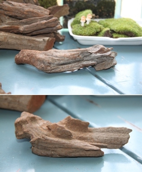 teraarium สวนขวดแก้ว