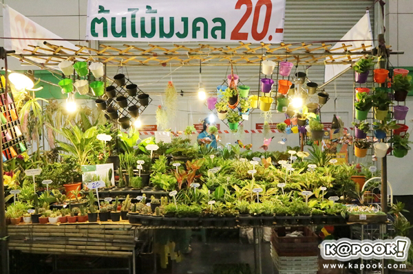 งานบ้านและสวน 2556 บ้านและสวนแฟร์ Midyear 2013